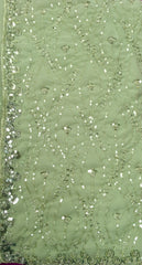 AFL3064 Partywear georgette saree in light green with silver sequin and bead embroidery work.Comes with stitched blouse size 40,can be altered to 44 size.Fall peco done.