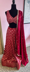 AFL5027: Beautiful red lehenga