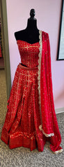 AFL6002: Beautiful red lehenga