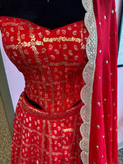 AFL6002: Beautiful red lehenga