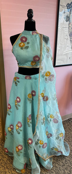 AFL6009: Beautiful blue lehenga