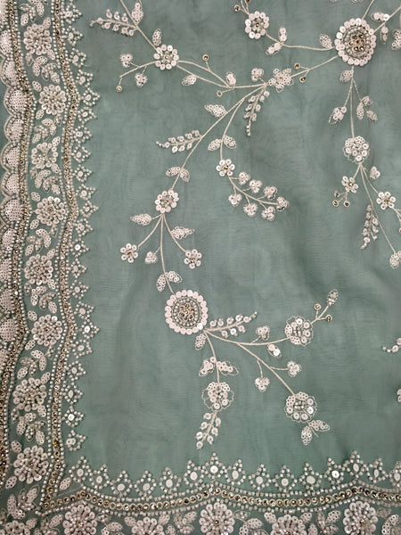 AFL3042 Partywear saree in light blue organza saree with white bead and sequin embroidery.Comes with stitched blouse size 40,can be altered to 44 size.Fall peco done.