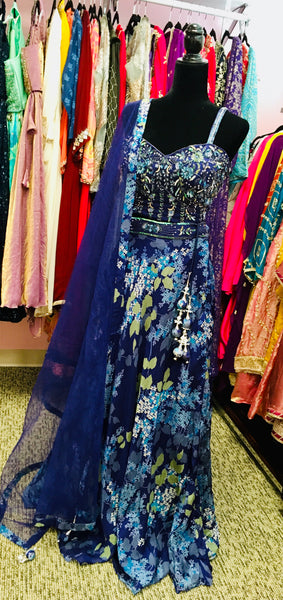 HRD102 Dark blue lehenga .
