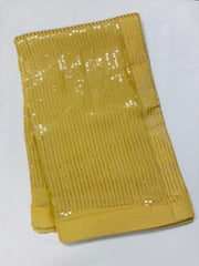 TKS104 - Pure Chiffon Saree in Beige with Sequin work (with stitched Blouse)